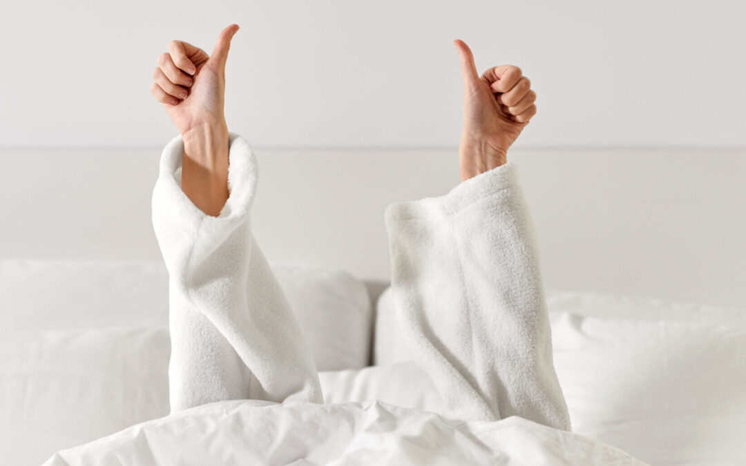 Bedbugs: A Concise Travel Guide for Business & Leisure Travelers